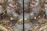 Tall Petrified Wood Bookends - Nevada #382145-1